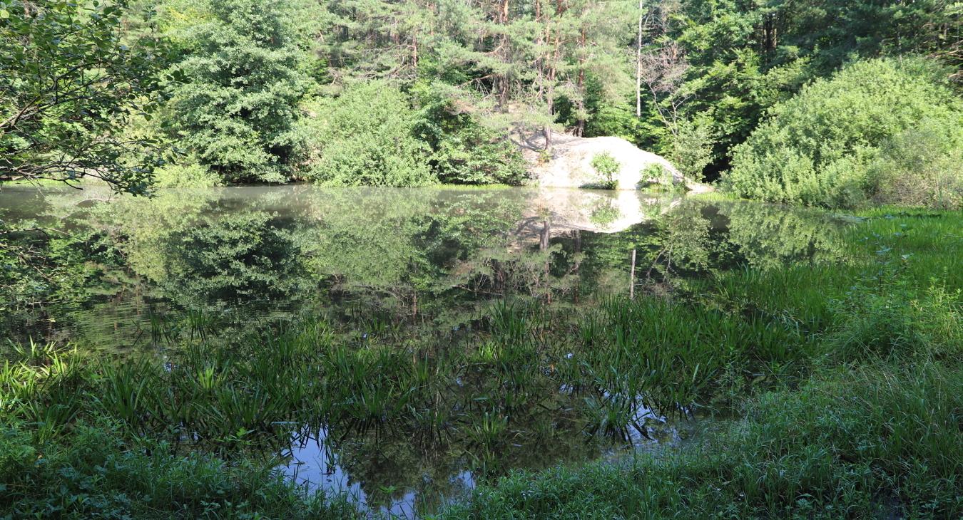 Rezerwat Biesak-Białogon