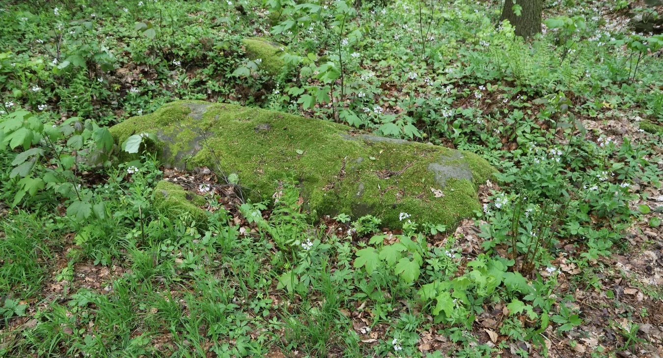 Menhir - kamienny strażnik świątyni na Górze Dobrzeszowskiej