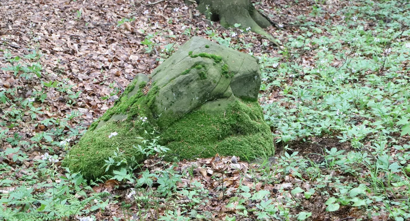 Kamień centralny 