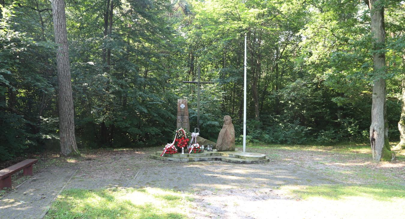 Pomnik bitwy pod Szewcami 